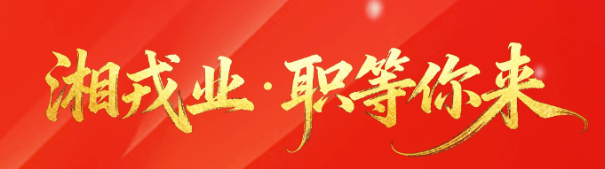 定向招聘退役军人物流规划专家